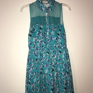 Collared Mesh top Dress